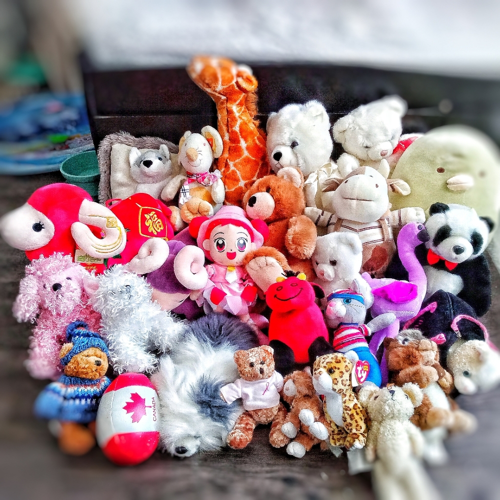 💮2/$40💮 Large Plush Toy Collection